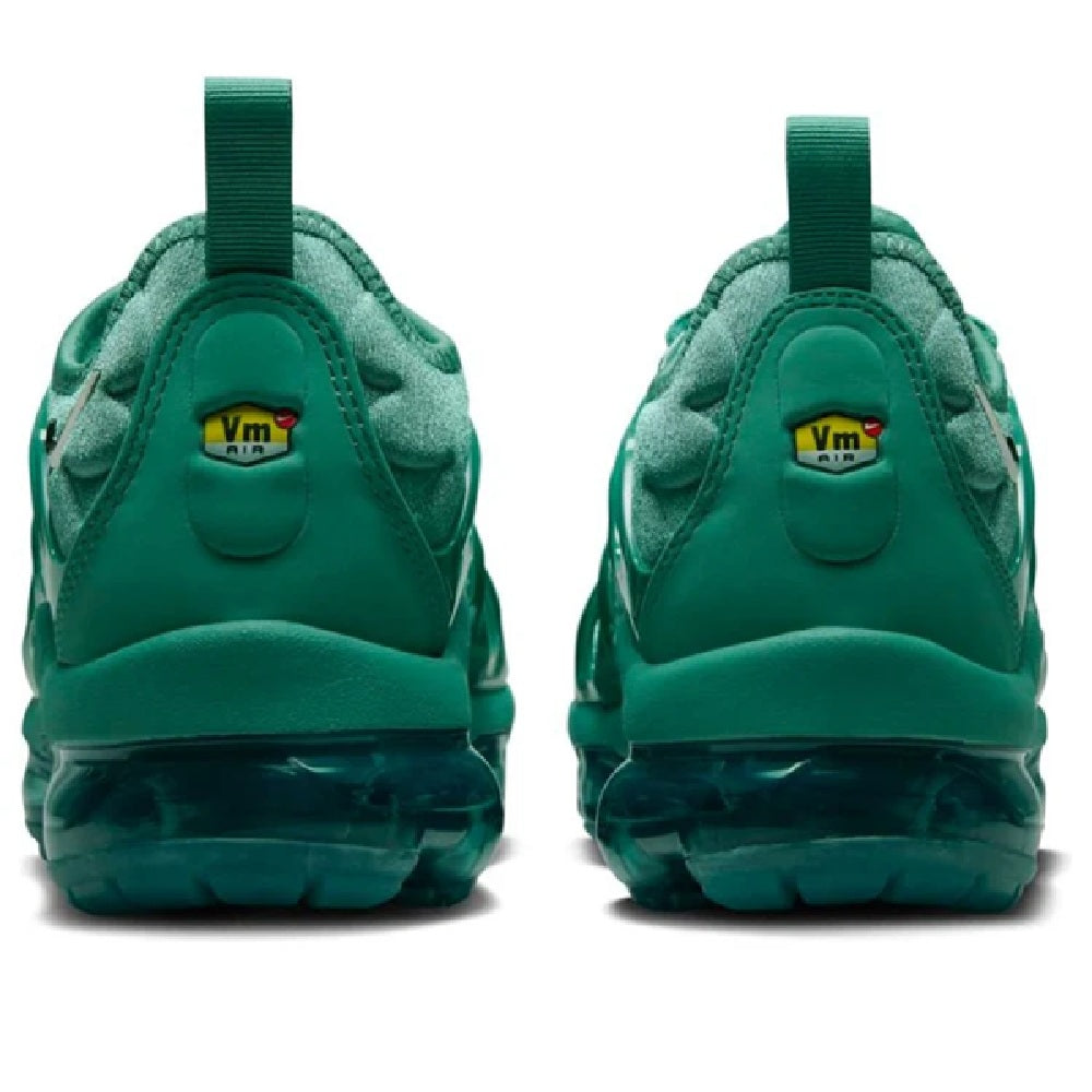 Women's Nike Air Vapormax Plus Bicoastal/Chrome (HF5048 361)