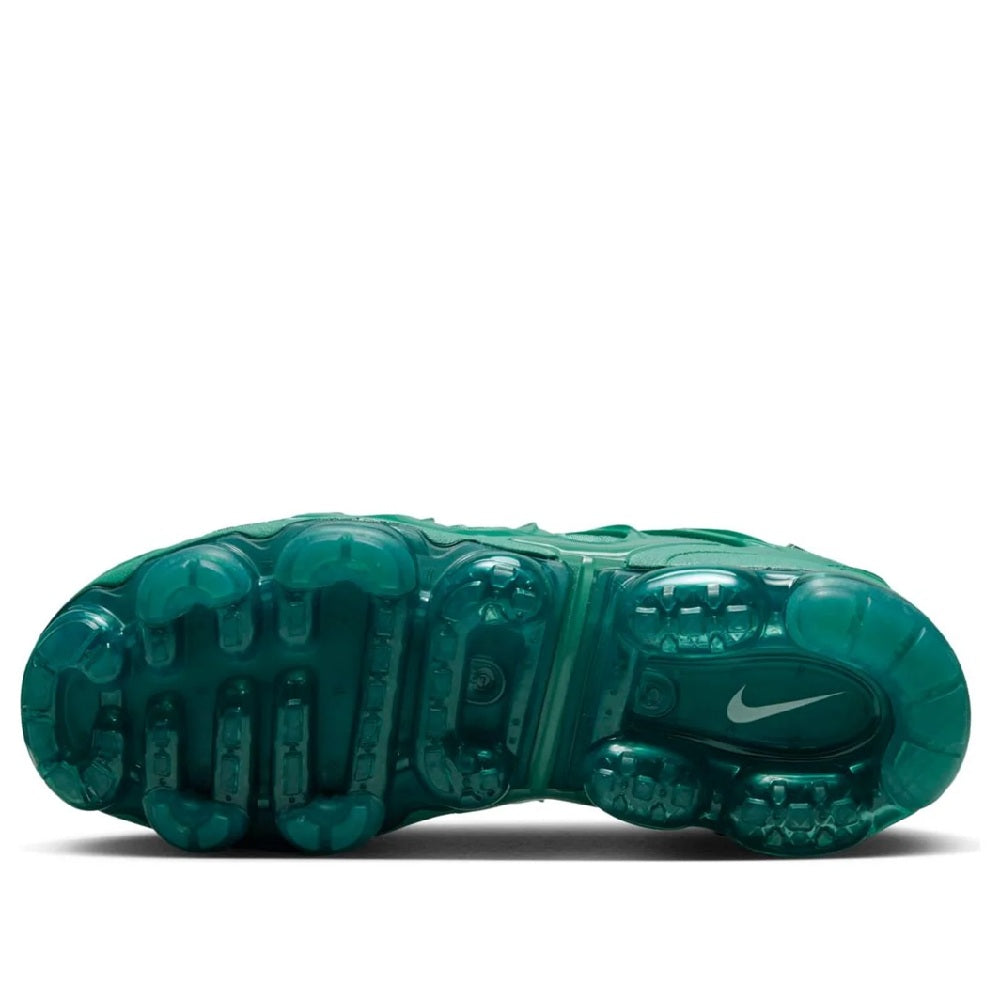 Women's Nike Air Vapormax Plus Bicoastal/Chrome (HF5048 361)